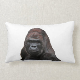 DAS KLUGE LENDENKISSEN