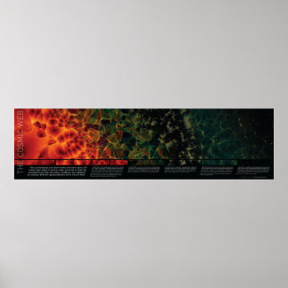 Das kosmische Netz Poster