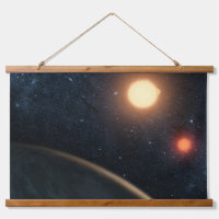 Das künstlerische Konzept illustriert Kepler-16b.