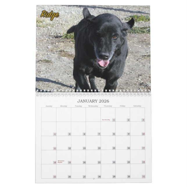 Das Labradors der vier Tatzen-Hundehütte Kalender (Jan 2026)