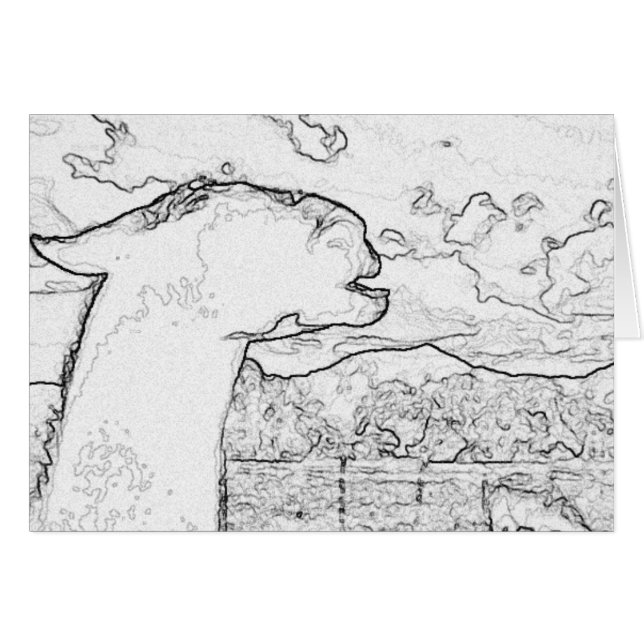 Das lachende Lama (Vorderseite (Horizontal))