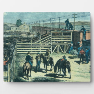 Das Laden von Texas-Rindern in einen Zug bei Abile Fotoplatte