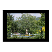 Das LAND GARDEN Poster