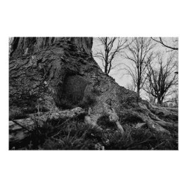 das Land zurücknimmt Poster