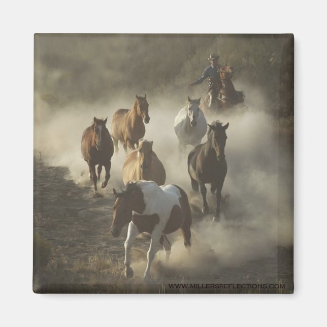 Das Laufwerksmagnet Magnet (Vorne)