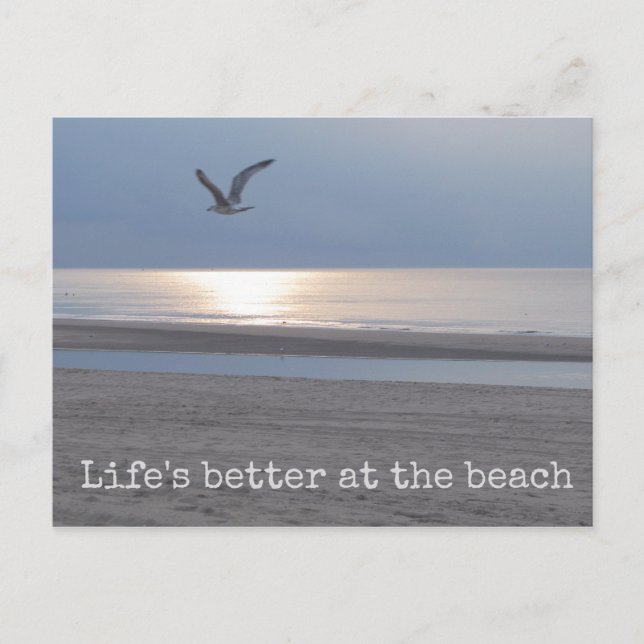 Das Leben am Strand ist besser - Fun Quote Postkar Postkarte (Vorderseite)