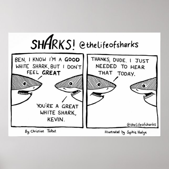 Das Leben der Haie Poster (Vorne)