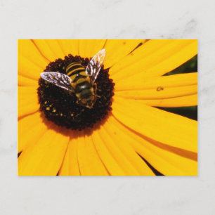 Das Leben einer Biene Postkarte