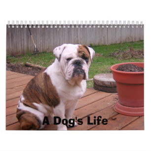 Das Leben eines Hundes Kalender