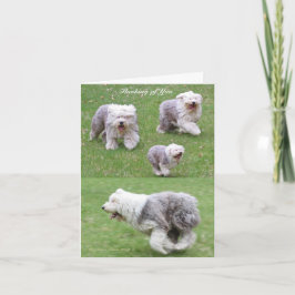 Das Leben geschieht! Karte