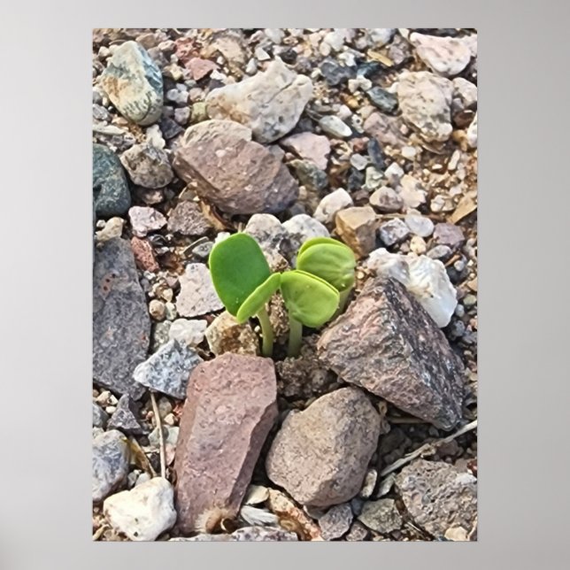 Das Leben im Rock-Foto Poster (Vorne)