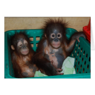 Das Leben ist am besten, wenn es geteilt wird