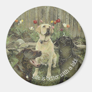 Das Leben ist besser mit dem Labrador Magnet