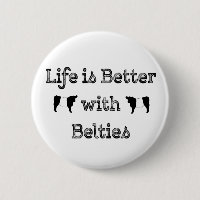 Das Leben ist besser mit den Belties Galloway Kühe