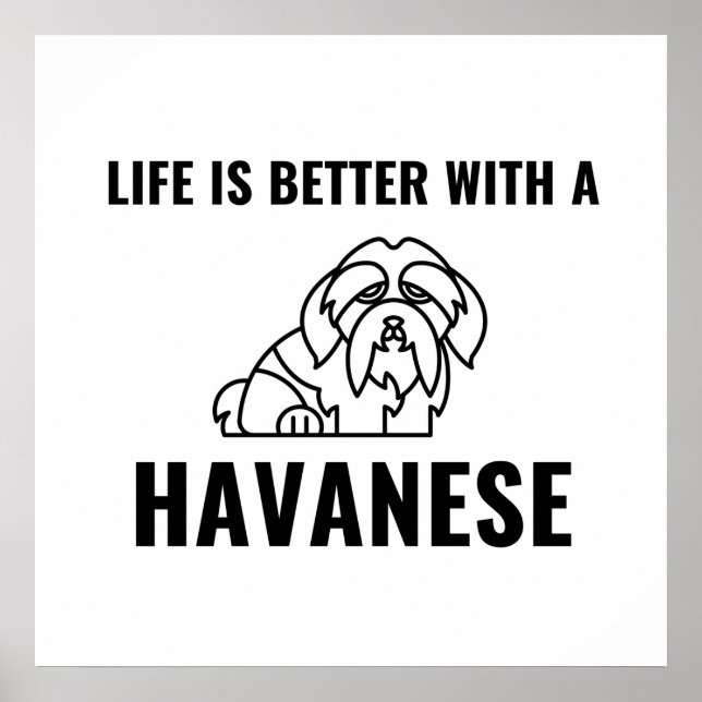 Das Leben ist besser mit einem Havanese Poster (Vorne)