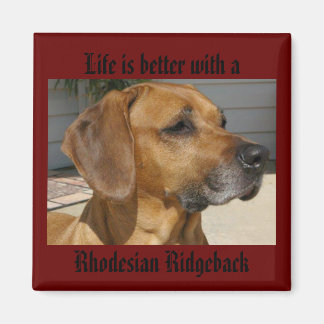 Das Leben ist besser mit einem RHODESIAN RIDGEBACK Magnet
