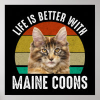 Das Leben ist besser mit Maine Coons