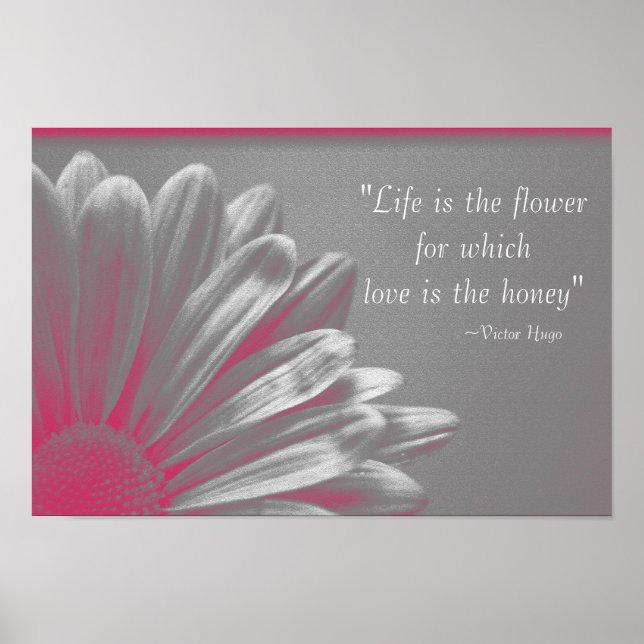 Das Leben ist die Blume - Pink Daisy Poster (Vorne)