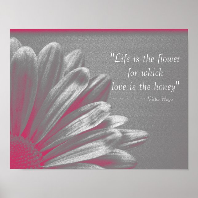 Das Leben ist die Blume - Pink Daisy Poster (Vorne)