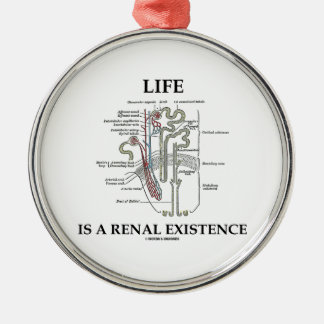 Das Leben ist ein Nierenbestehen (Niere Nephron) Silbernes Ornament