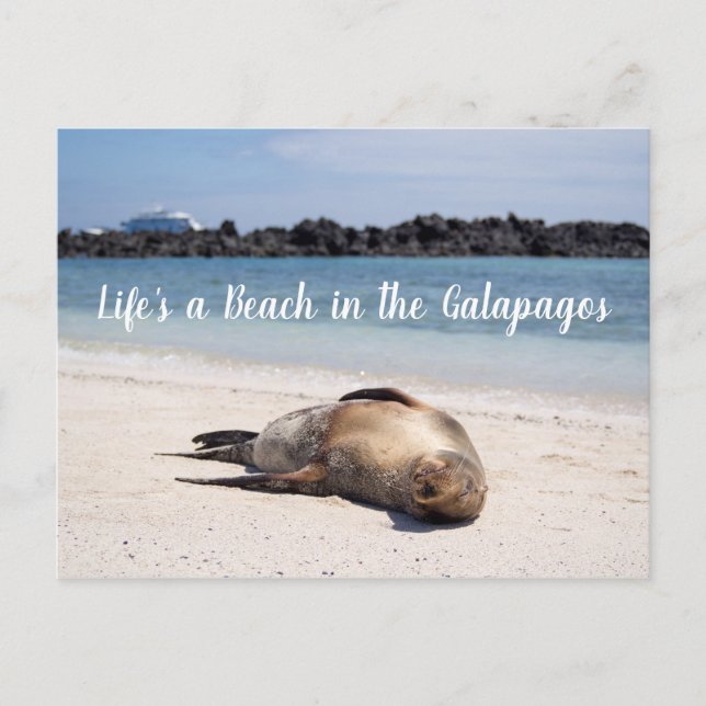 Das Leben ist ein Strand in der Galapagos Postkart Postkarte (Vorderseite)
