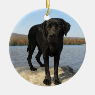 Das Leben ist ein Strand - Labrador Retriever - Bl Keramik Ornament