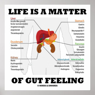 Das Leben ist eine Frage des anatomischen Spaßes i Poster