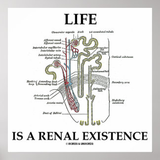 Das Leben ist eine Nierenerkrankung Nephron Poster