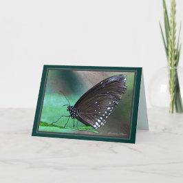 *Das Leben ist ewig: Eine schöne Metapher für den Karte