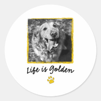 Das Leben ist golden (Retriever) Runder Aufkleber