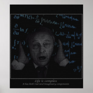 Das Leben ist komplex Poster