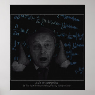 Das Leben ist komplex Poster