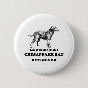 Das Leben ist mit einem Chesapeake Bay-Retriever Button