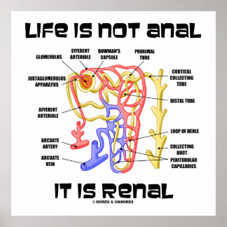 Das Leben ist nicht anal es ist Nieren (Niere Neph Poster
