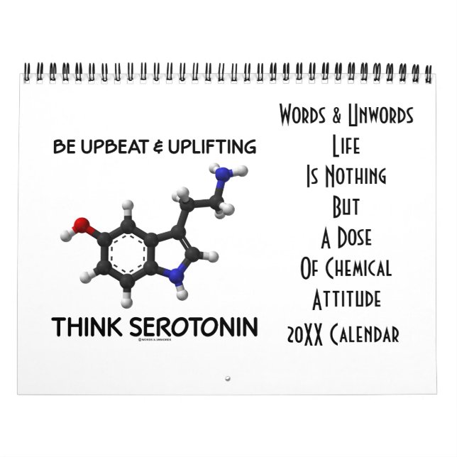 Das Leben ist nichts aber chemische Haltung 20XX Kalender (Titelbild)