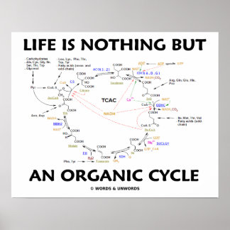 Das Leben ist nichts anderes als ein Bio Krebs-Zyk Poster