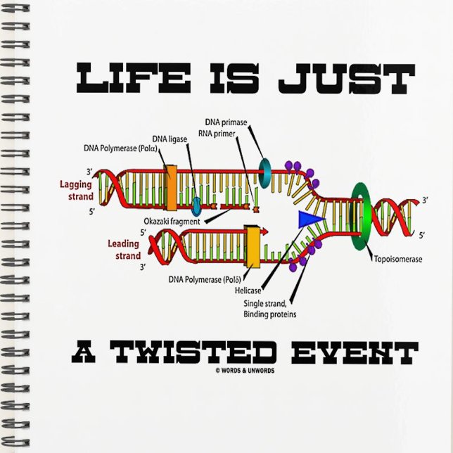 Das Leben ist nur ein doppelter DNA-Replikations-S Planer (Planner featuring DNA replication for anyone who believes that life is just a twisted event)