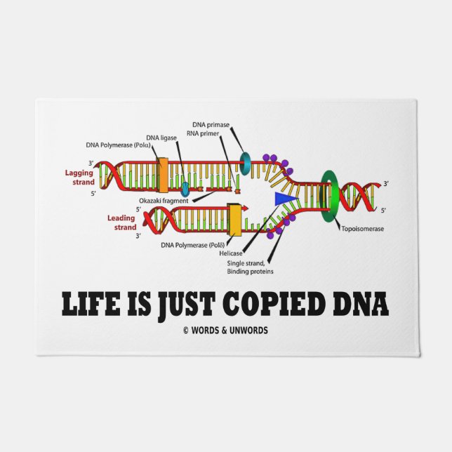 Das Leben ist nur kopierter DNA Molekularbiologie- Fußmatte (Vorderseite)