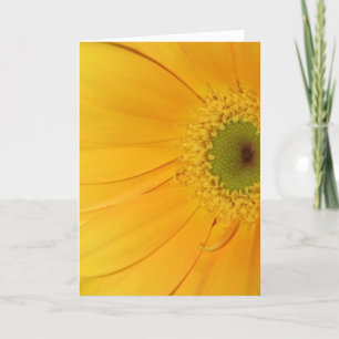 Das Leben ist schön! Karte