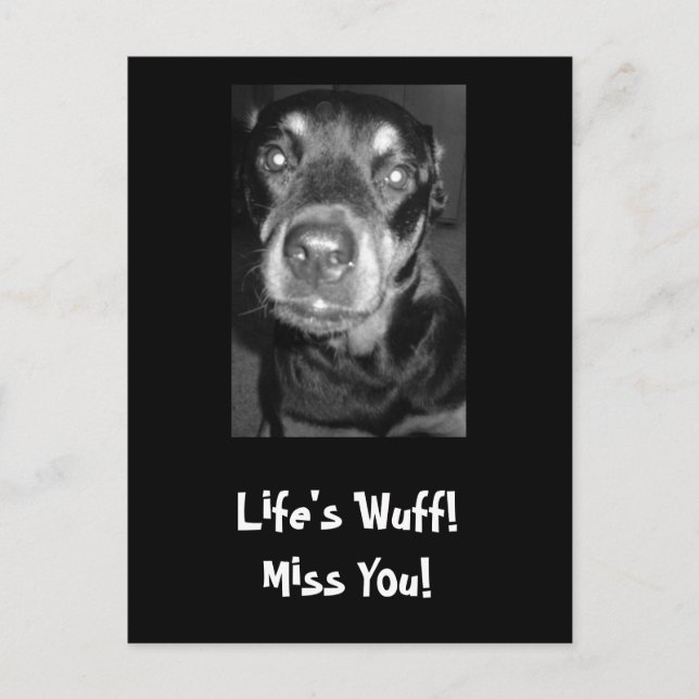 Das Leben ist Wuff! Miss dich! Postkarte (Vorderseite)