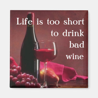 Das Leben ist zu kurz Magnet