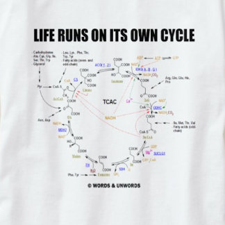 Das Leben läuft auf seinem eigenen Zyklus (Krebs-Z T-Shirt