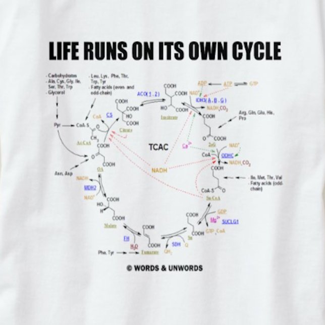 Das Leben läuft auf seinem eigenen Zyklus (Krebs-Z T-Shirt (Krebs cycle (citric acid cycle) humor tee with the scientific saying "Life Runs On Its Own Cycle")