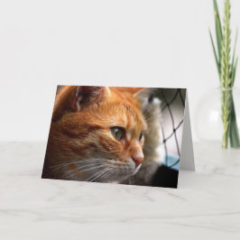 Das Leben Sind zum Kotzen Ermutigung, ich bin hier Karte