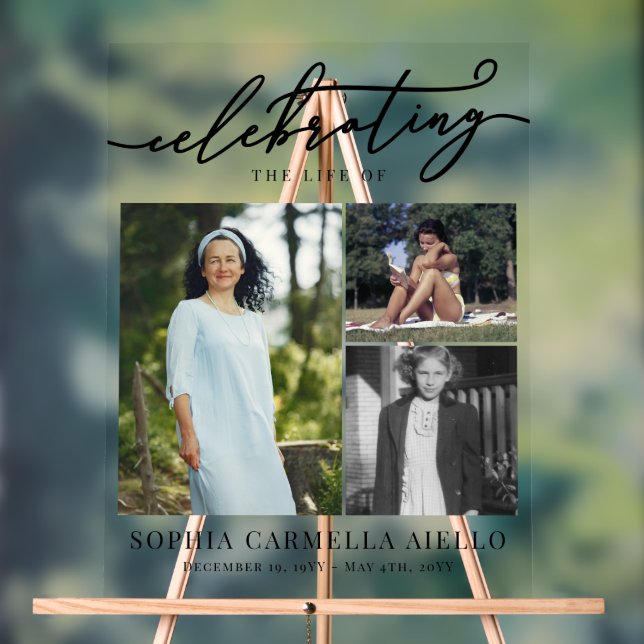 Das Leben von 3 Fotokollagen feiern Acrylschild (Neutral)