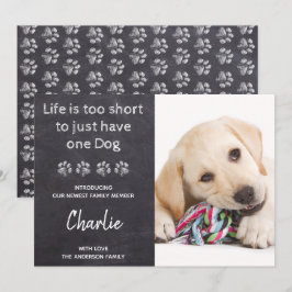 Das Leben zu Kurz für nur einen Hund neuen Haustie Ankündigung