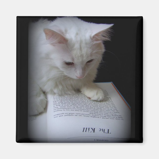 Das Leid Magnet (Vorne)