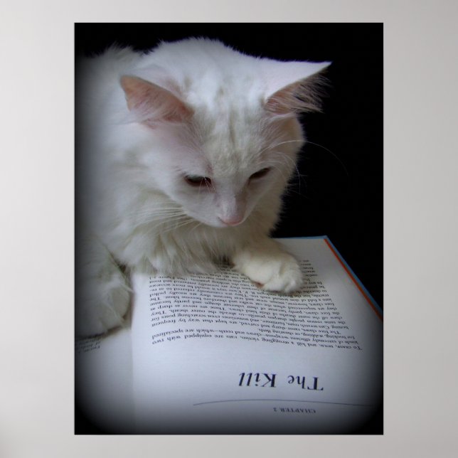 Das Leid Poster (Vorne)