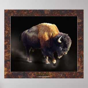 Das letzte Buffalo-Poster der Wildlife History Fin Poster