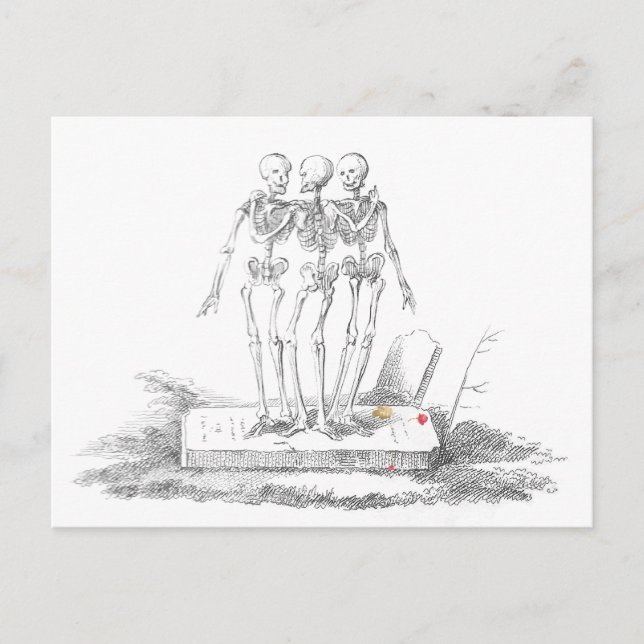 Das Letzte der Graces Postkarte (Vorderseite)